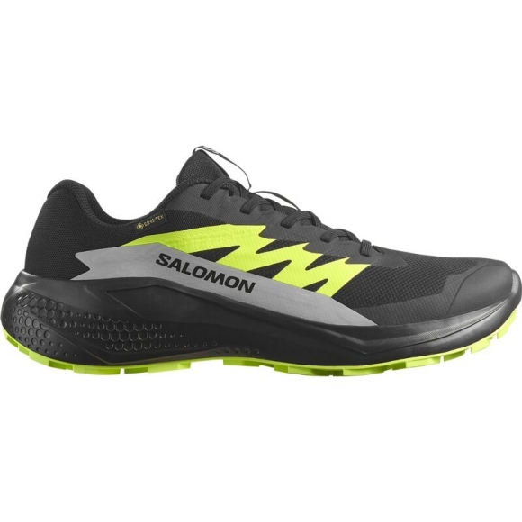 Salomon Herren Trailrunningschuhe SHOES ALPHAGLIDE GTX - Schwarz/Legierung/Scharfes Grün