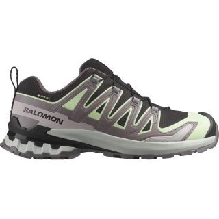 Salomon Damen Trailrunningschuhe SHOES XA PRO 3D V9 GTX W - Schwarz/Patinagrün/Grauviolett