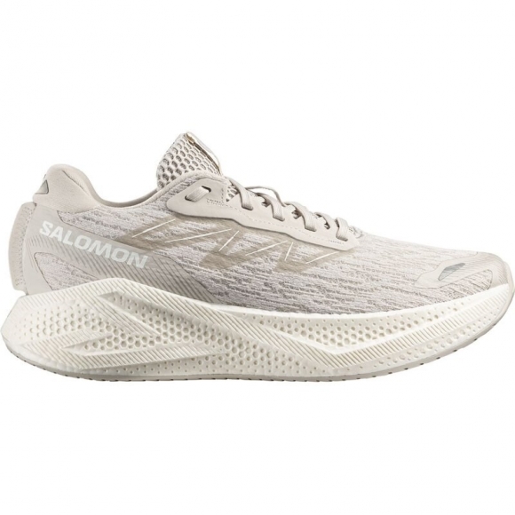 Salomon Herren Laufschuhe SHOES AERO GLIDE 4 Slv - Silberwolke/Silberwolke/Weiß