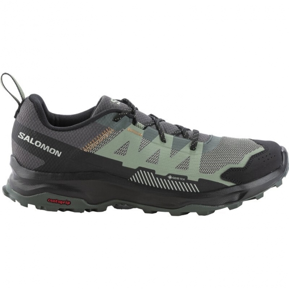 Salomon Herren Multifunktionsschuhe SHOES ARDENT GTX - Urban Chic/Agavengrün/Asphalt