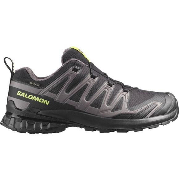 Salomon Herren Trailrunningschuhe SHOES XA PRO 3D V9 GTX - Schwarz/Dunkelgrau/Limette