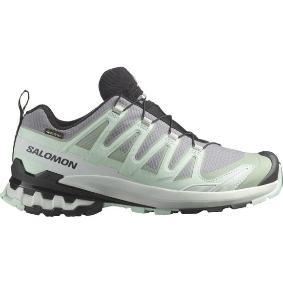 Salomon Damen Trailrunningschuhe SHOES XA PRO 3D V9 GTX W - Stiller Schatten/Seerosenblatt/Blauer Nebel