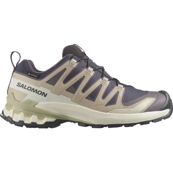 Salomon Damen Trailrunningschuhe SHOES XA PRO 3D V9 GTX W 9 - Neun Eisen/Oxford Tan/Luzerne