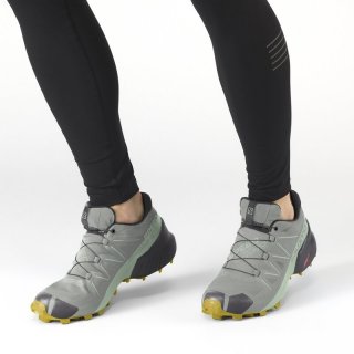 Salomon Damen Trailrunningschuhe SHOES SPEEDCROSS 5 GTX W Wrought - Schmiedeeisen/Spray/Antikes Moos