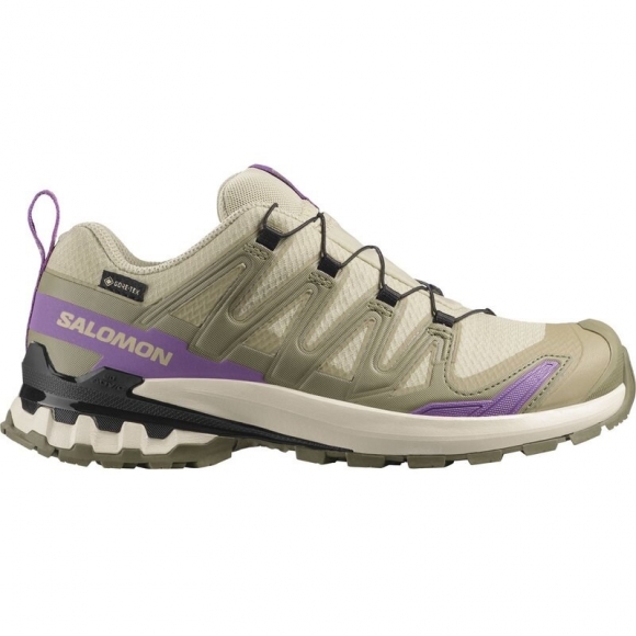 Salomon Damen Trailrunningschuhe SHOES XA PRO 3D V9 GTX W - Moor/Aloe/Concord-Traube