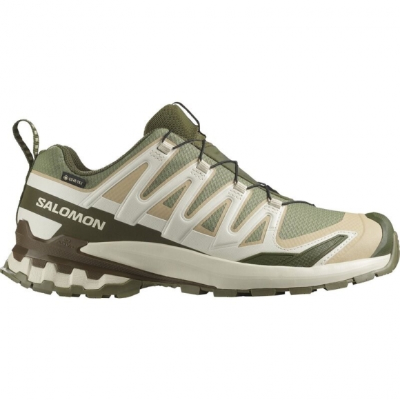 Salomon Herren Trailrunningschuhe SHOES XA PRO 3D V9 GTX - Tiefes Flechtengrün/Safari/Dunkle Erde