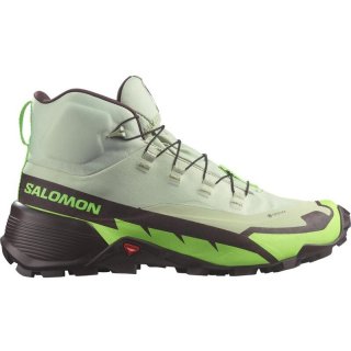 Salomon Herren Multifunktionsstiefel SHOES CROSS HIKE MID GTX 2 - Wüstensalbei/Grüner Gecko/Schokolade P