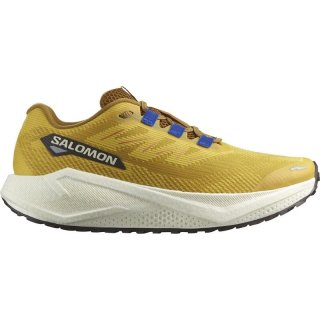 Salomon Herren Laufschuhe SHOES AERO BLAZE 3 GRVL - Scharfer Senf/Vanilleeis/Nautisch