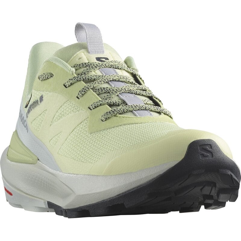 Salomon Damen Multifunktionsschuhe SHOES ELIXIR ACTIV GTX W - Celadongrün/Gletschergrau/Phantom