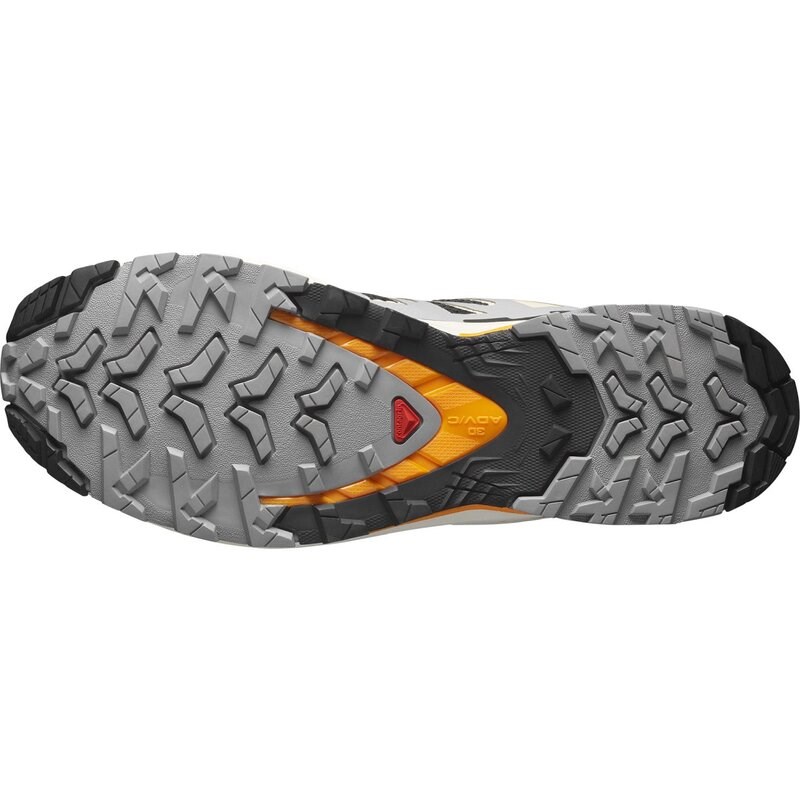 Salomon Herren Trailrunningschuhe SHOES XA PRO 3D V9 - Schwarz/Möwe/Kurkuma