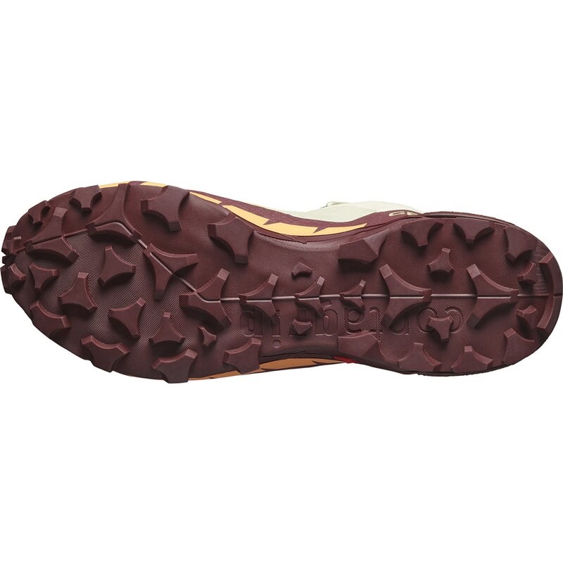 Salomon Damen Multifunktionsschuhe SHOES CROSS HIKE GTX 2 W - Luzerne/Cantaloupe/Bitterschokolade