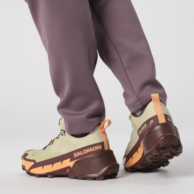 Salomon Damen Multifunktionsschuhe SHOES CROSS HIKE GTX 2 W - Luzerne/Cantaloupe/Bitterschokolade