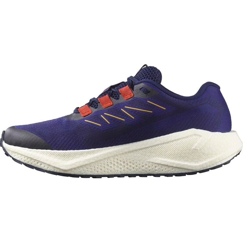 Salomon Herren Laufschuhe SHOES AERO BLAZE 3 GRVL - Astrale Aura/Maritimes Blau/Haute Rot