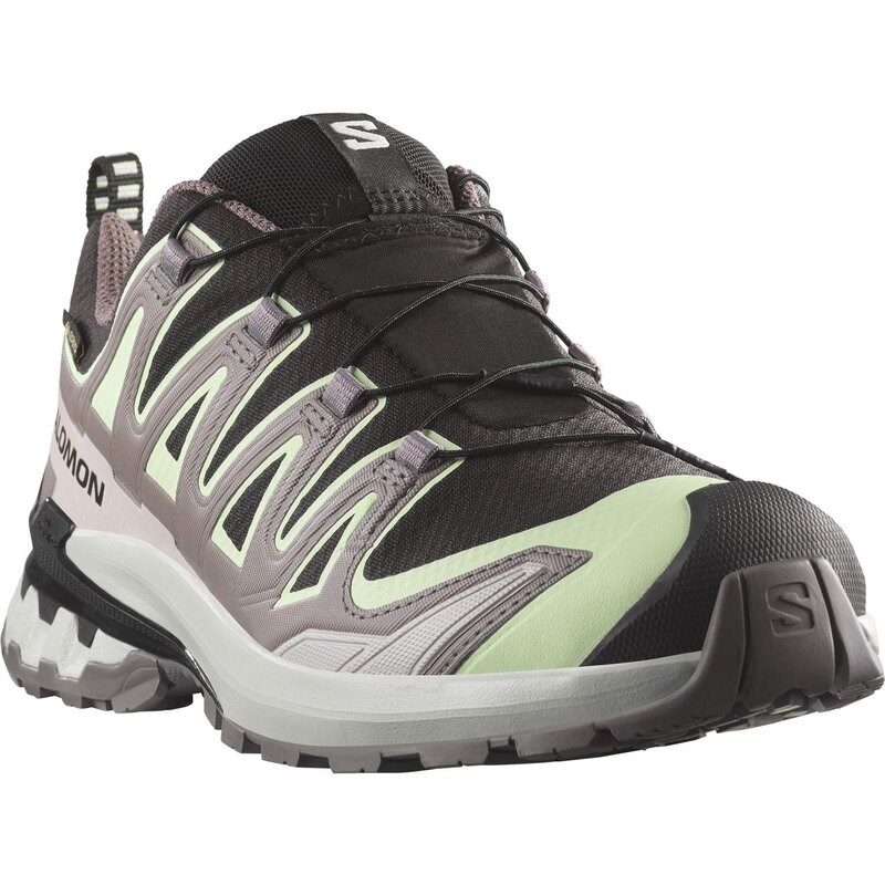 Salomon Damen Trailrunningschuhe SHOES XA PRO 3D V9 GTX W - Schwarz/Patinagrün/Grauviolett