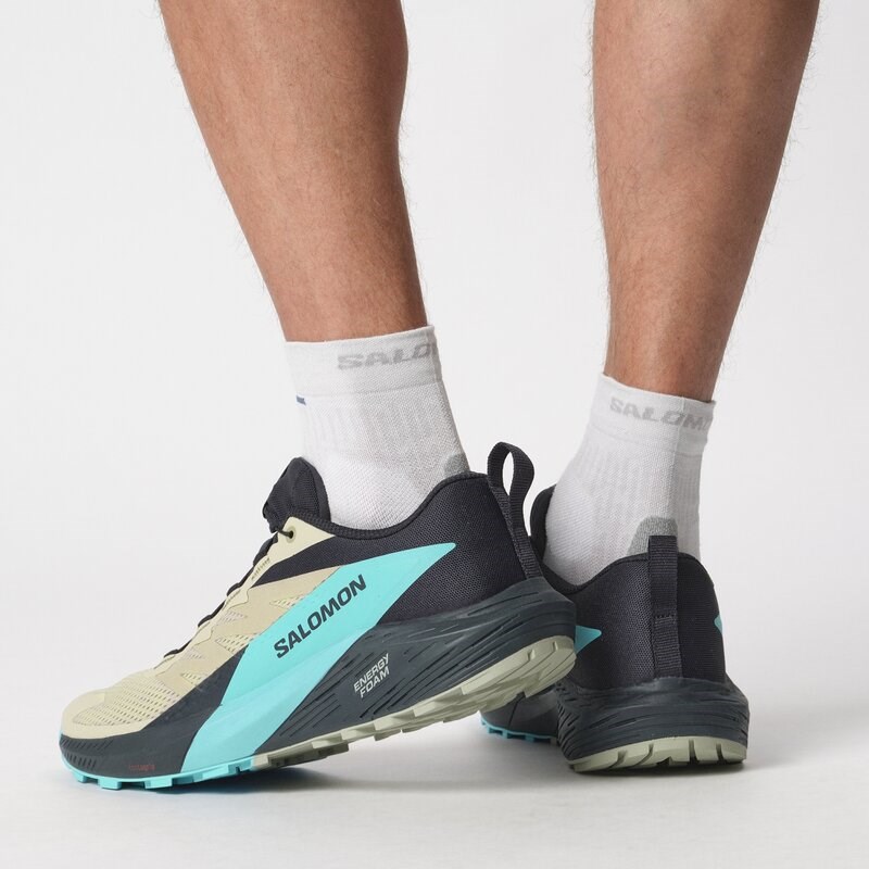 Salomon Herren Trailrunningschuhe SHOES SENSE RIDE 5 - Luzerne/Kohlenstoff/Pfau Blau