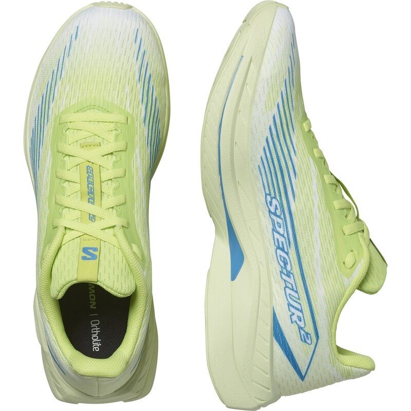 Salomon Herren Laufschuhe SHOES SPECTUR 2 Sh - Scharfes Grün/Diva-Blau/Limettencreme