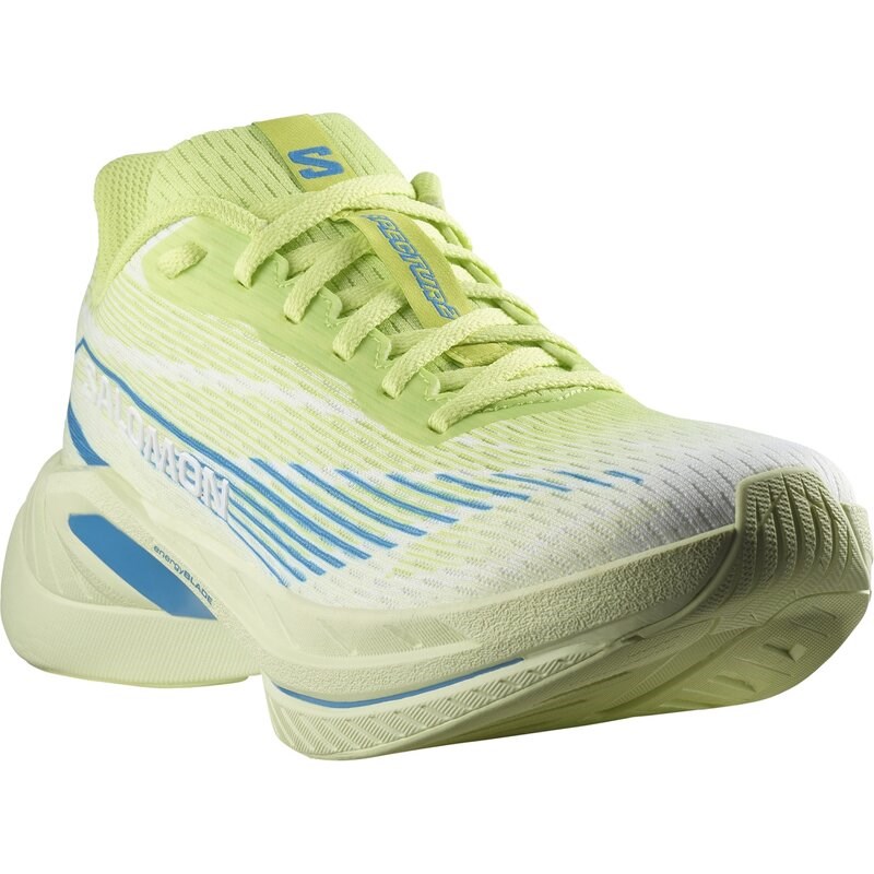 Salomon Herren Laufschuhe SHOES SPECTUR 2 Sh - Scharfes Grün/Diva-Blau/Limettencreme