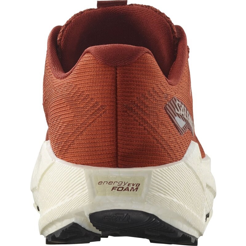 Salomon Damen Laufschuhe SHOES AERO BLAZE 3 GRVL W Burnt - Gebrannter Ocker/Vanilleeis/Vanilleeis