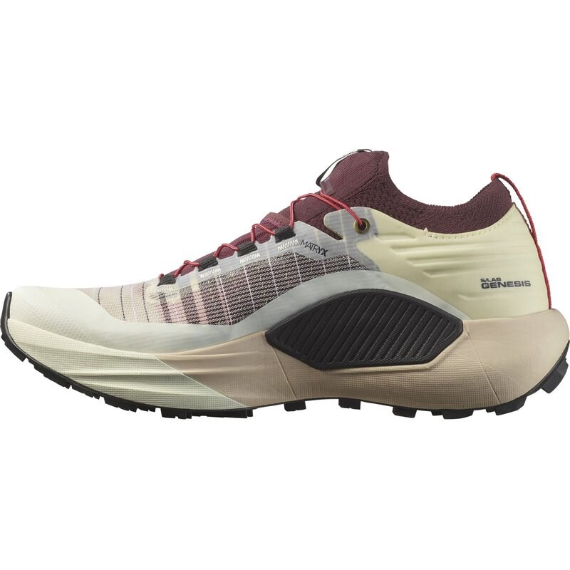 Salomon Herren Trailrunningschuhe SHOES - Vanilleeis/Dekadente Schokolade/Schwarz