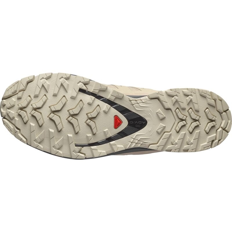 Salomon Herren Trailrunningschuhe SHOES XA PRO 3D V9 GTX - Oxford Tan/Castlerock/Schwarz