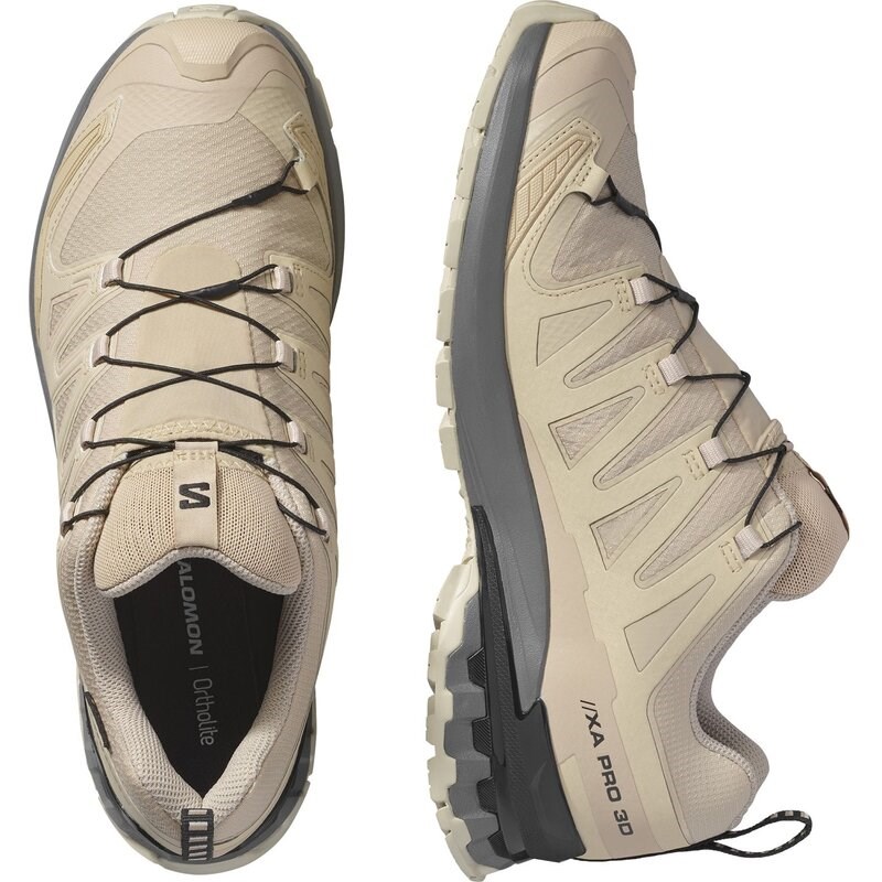 Salomon Herren Trailrunningschuhe SHOES XA PRO 3D V9 GTX - Oxford Tan/Castlerock/Schwarz
