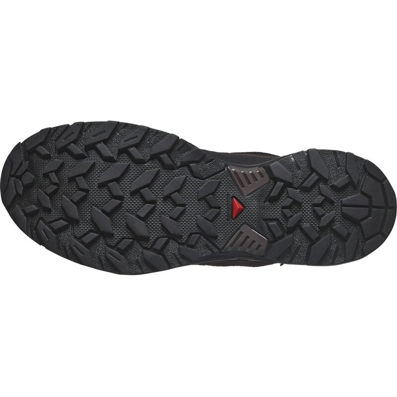 Salomon Herren Multifunktionsschuhe SHOES X ULTRA 360 LTR GTX - Dunkle Erde/Delicioso/Haifischhaut