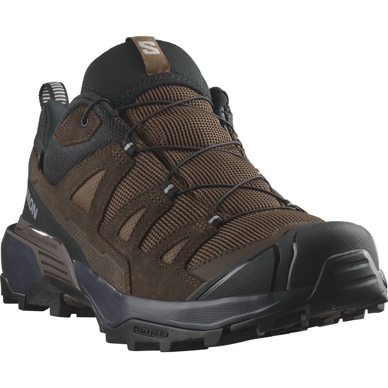 Salomon Herren Multifunktionsschuhe SHOES X ULTRA 360 LTR GTX - Dunkle Erde/Delicioso/Haifischhaut