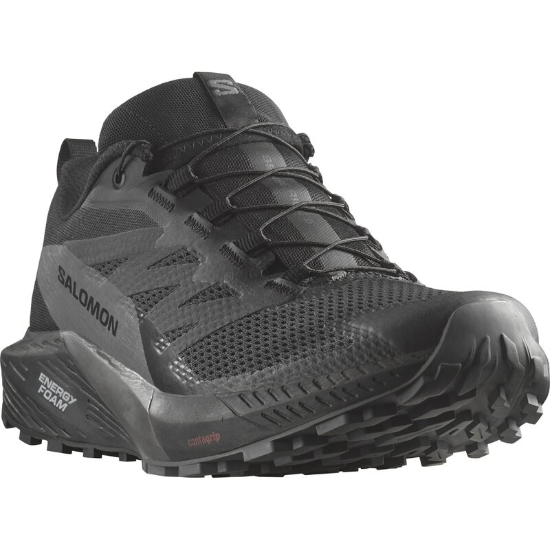 Salomon Herren Trailrunningschuhe SHOES SENSE RIDE 5 GTX - Schwarz/Magnet/Schwarz
