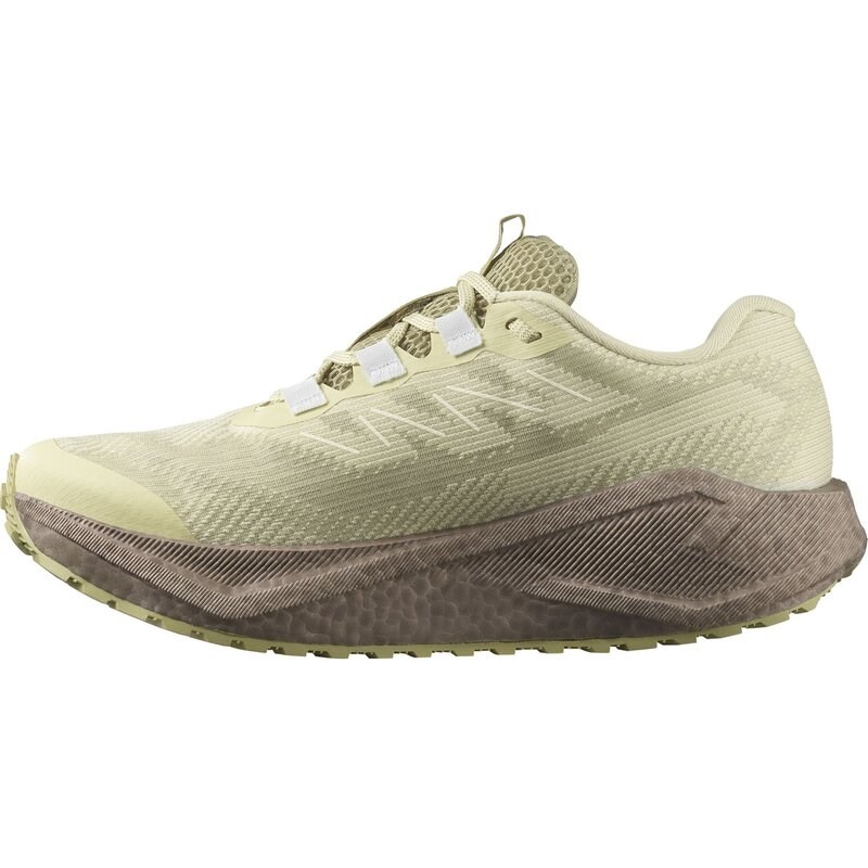 Salomon Damen Laufschuhe SHOES AERO BLAZE 3 GRVL GTX W - Grüner Nebel/Eisen/Eisfluss