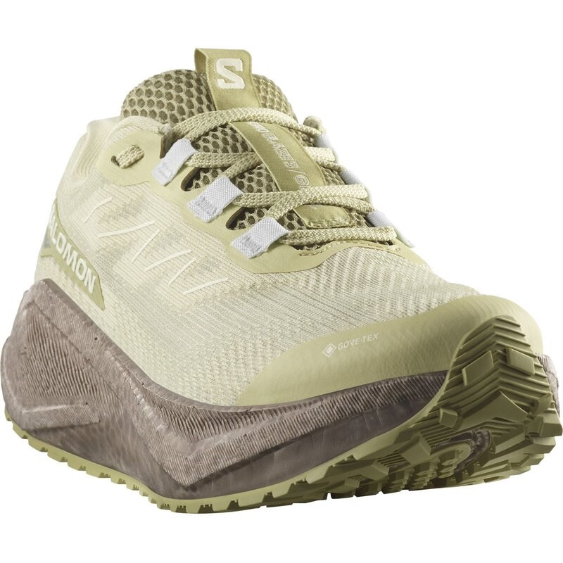 Salomon Damen Laufschuhe SHOES AERO BLAZE 3 GRVL GTX W - Grüner Nebel/Eisen/Eisfluss
