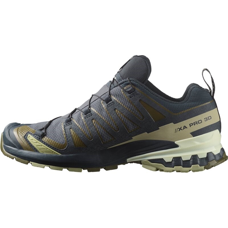 Salomon Herren Trailrunningschuhe SHOES XA PRO 3D V9 GTX - Tinte/Olivennacht/Aloe Wash