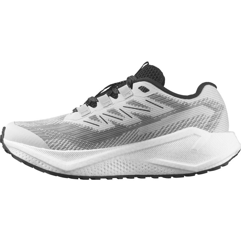 Salomon Damen Laufschuhe SHOES AERO BLAZE 3 GRVL W - Mond Rock/Weiß/Schwarz