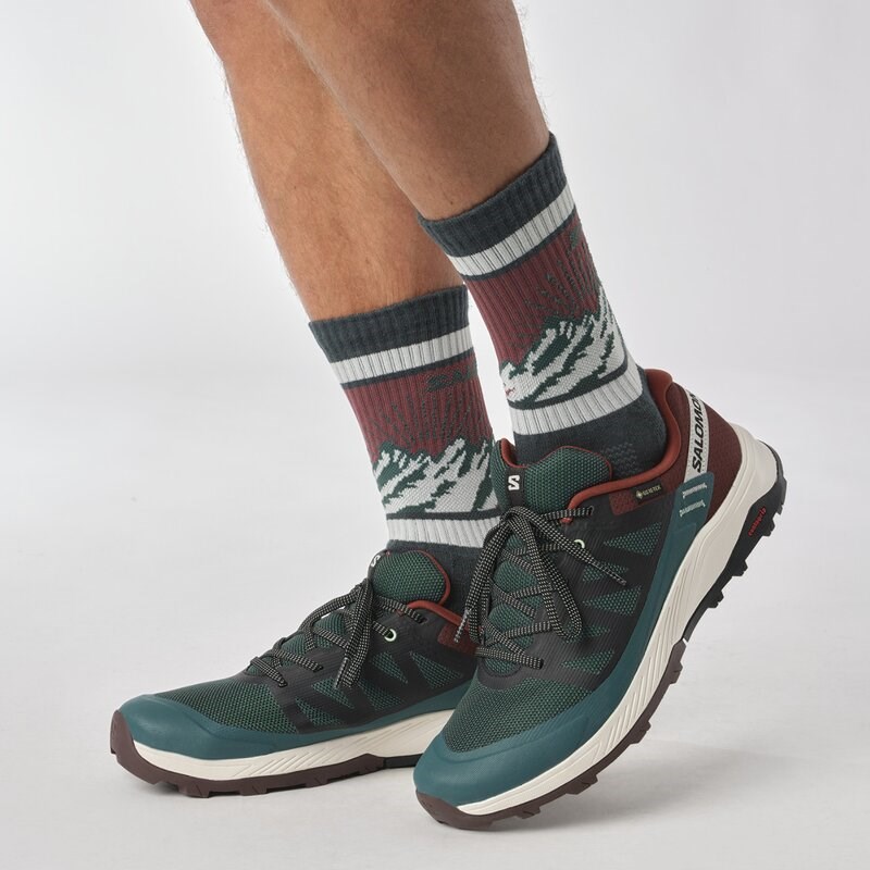 Salomon Herren Multifunktionsschuhe SHOES OUTRISE GTX - Ponderosa-Kiefer/Bitterschokolade/Vanille