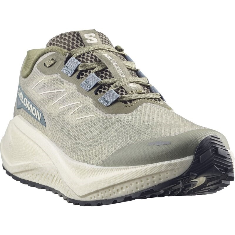 Salomon Herren Laufschuhe SHOES AERO BLAZE 3 GRVL - Tee/Vanilleeis/Tiefes Flechtengrün
