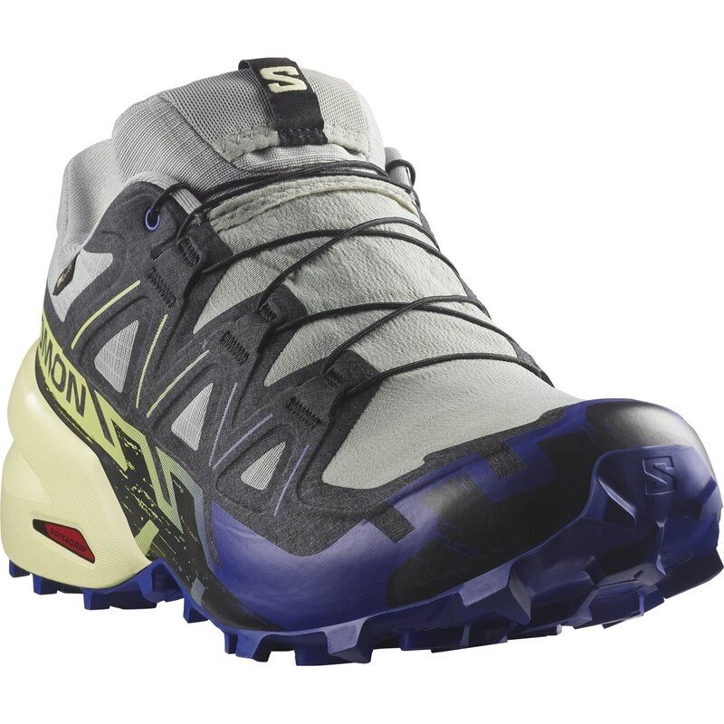 Salomon Herren Trailrunningschuhe SHOES SPEEDCROSS 6 GTX Wrought - Schmiedeeisen/Clematis Blau/Scharfes Grün