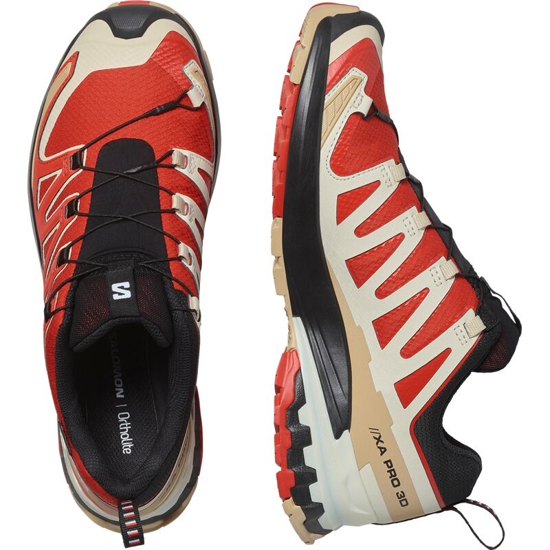 Salomon Herren Trailrunningschuhe SHOES XA PRO 3D V9 GTX - Aurorarot/Safari/Weiß