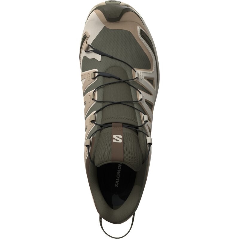 Salomon Herren Trailrunningschuhe SHOES XA PRO 3D V9 - Tiefes Flechtengrün/Safari/Dunkle Erde