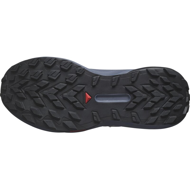 Salomon Damen Trailrunningschuhe SHOES GENESIS W - Carbon/Grisaille/Aloe Wash