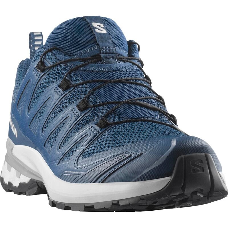 Salomon Herren Trailrunningschuhe SHOES XA PRO 3D V9 - Poseidon/Eiszapfen/Legierung