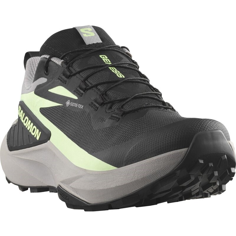 Salomon Damen Trailrunningschuhe SHOES GENESIS GTX W - Schwarz/Möwe/Patinagrün
