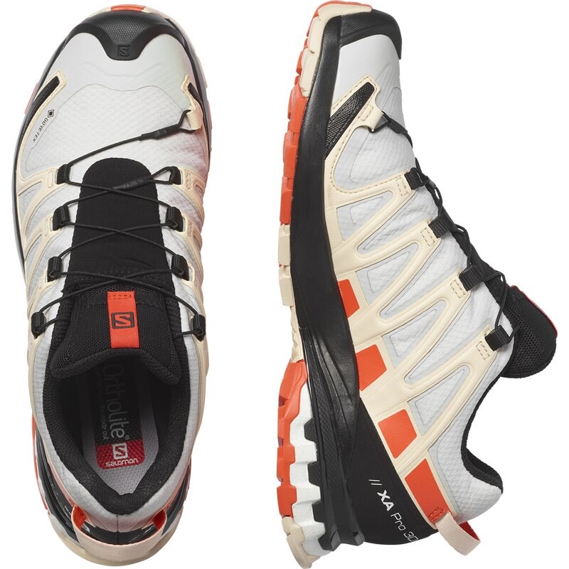 Salomon Damen Trailrunningschuhe SHOES XA PRO 3D v8 GTX W - Mondfelsen/Kirschtomate/Sonnenkuss