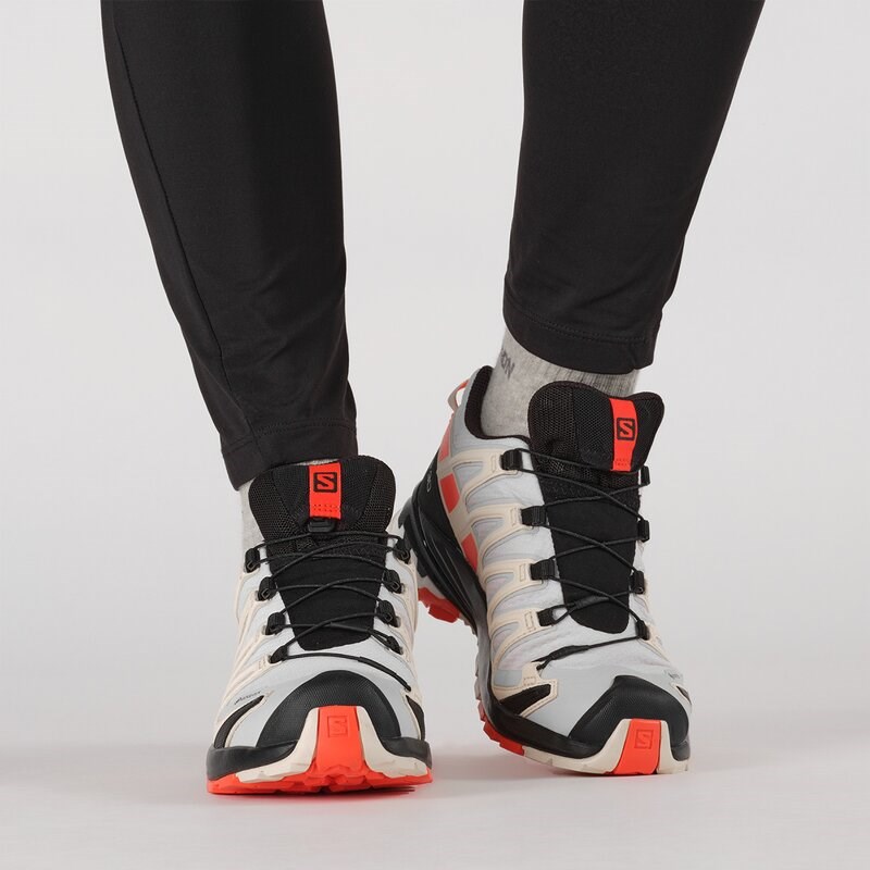 Salomon Damen Trailrunningschuhe SHOES XA PRO 3D v8 GTX W - Mondfelsen/Kirschtomate/Sonnenkuss