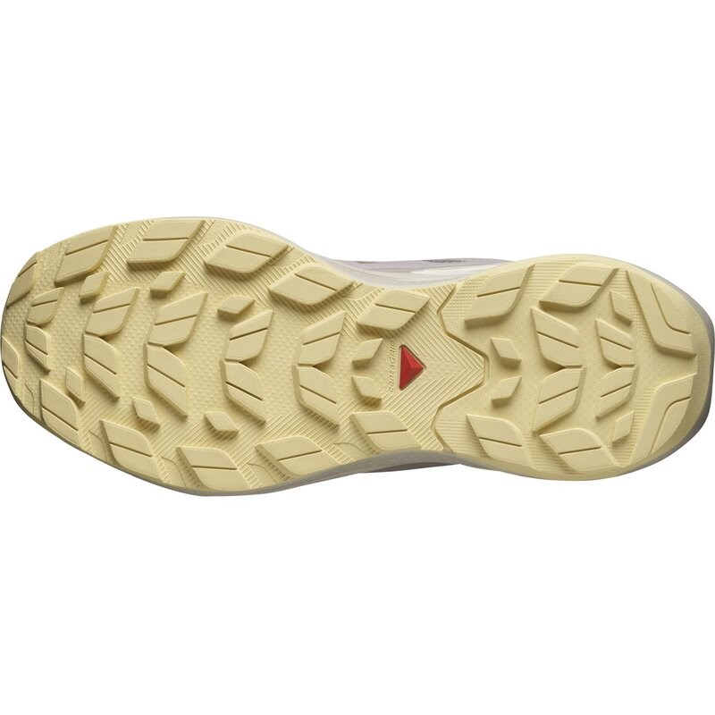 Salomon Damen Multifunktionsschuhe SHOES ELIXIR ACTIV GTX W - Eisen/Etherea/Tuc-Sonnenlicht