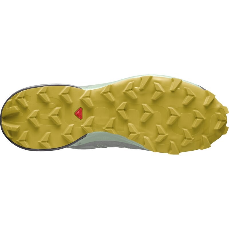 Salomon Damen Trailrunningschuhe SHOES SPEEDCROSS 5 GTX W Wrought - Schmiedeeisen/Spray/Antikes Moos