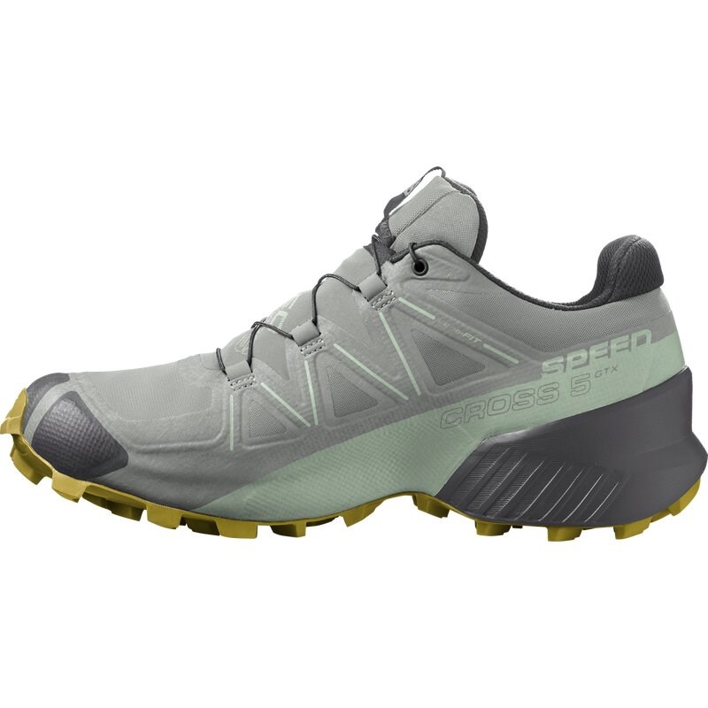Salomon Damen Trailrunningschuhe SHOES SPEEDCROSS 5 GTX W Wrought - Schmiedeeisen/Spray/Antikes Moos