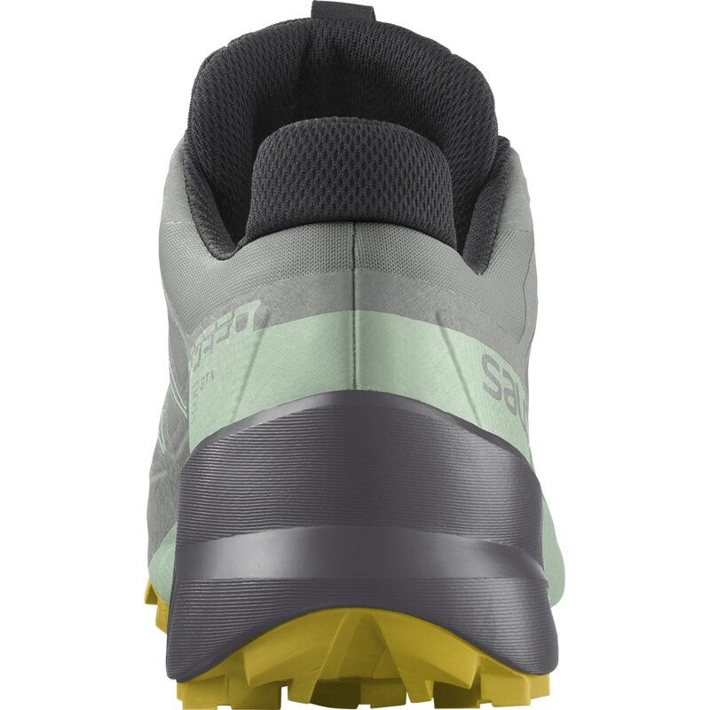 Salomon Damen Trailrunningschuhe SHOES SPEEDCROSS 5 GTX W Wrought - Schmiedeeisen/Spray/Antikes Moos