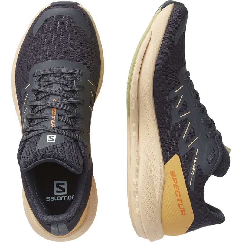 Salomon Damen Laufschuhe SHOES SPECTUR W - Ebenholz/Mandelcreme/Lauchgrün