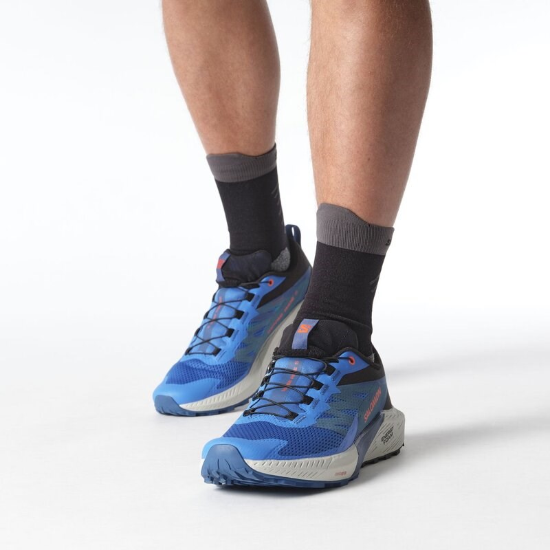 Salomon Herren Trailrunningschuhe SHOES SENSE RIDE 5 - Französischblau/Schwarz/Dunkelblau