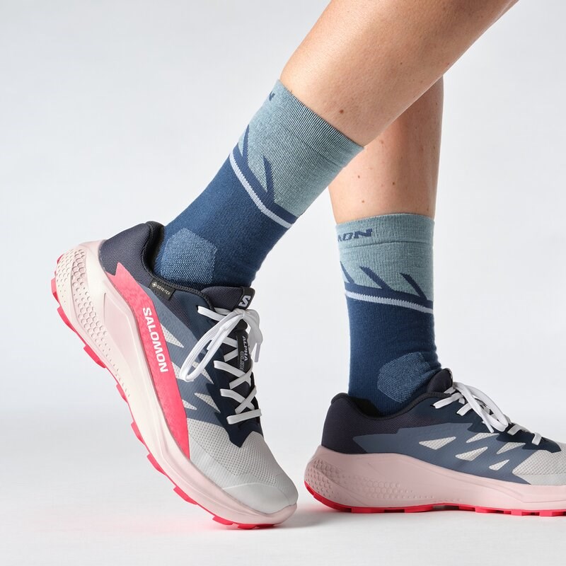 Salomon Damen Trailrunningschuhe SHOES ALPHAGLIDE GTX W - Mondfelsen/Blaue Nächte/Rotrot