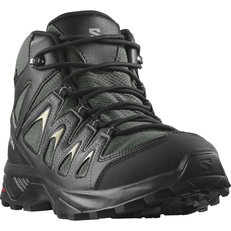 Salomon Herren Multifunktionsstiefel SHOES X BRAZE MID GTX - Urban Chic/Schwarz/Schiefergrün
